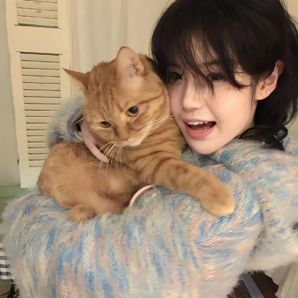 猩空漫游